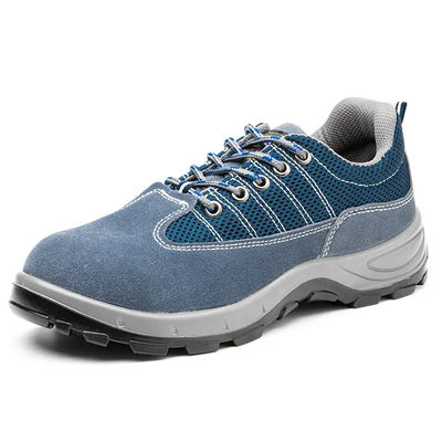 kaufen Komfort Echtleder Sicherheitsschuhe, blaue Sportschuhe für Männer online manufacture